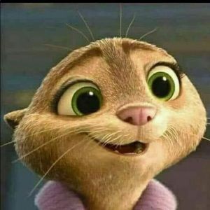 Meet your Posher, Reyna